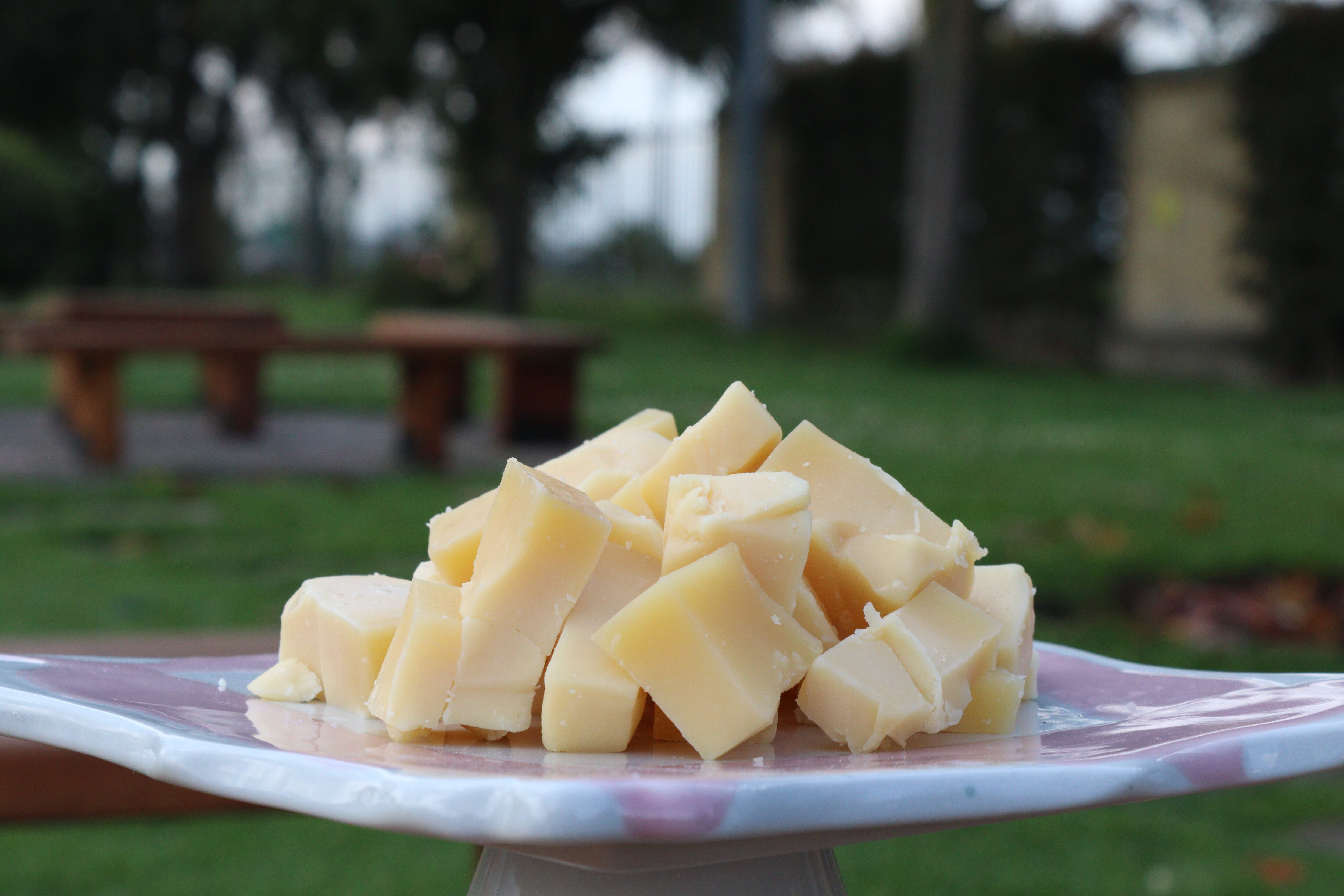 Festival del Queso en Sopó