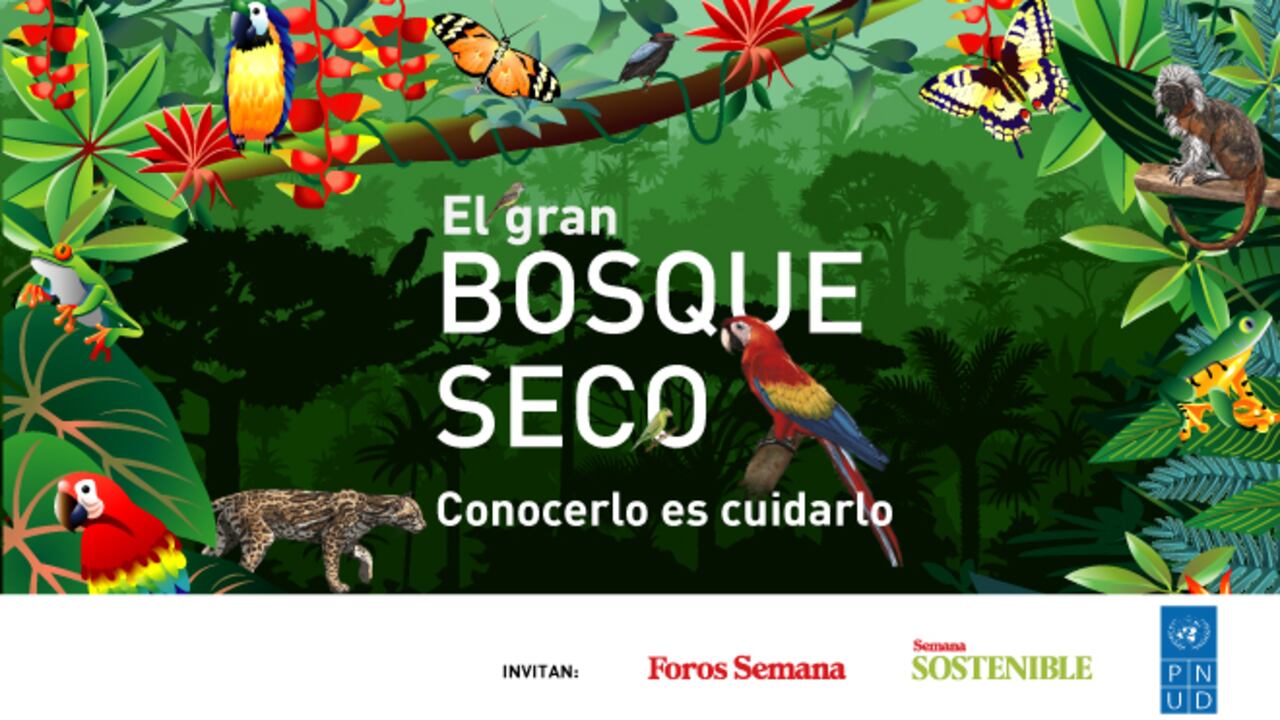 El gran Bosque Seco: Conocerlo es cuidarlo