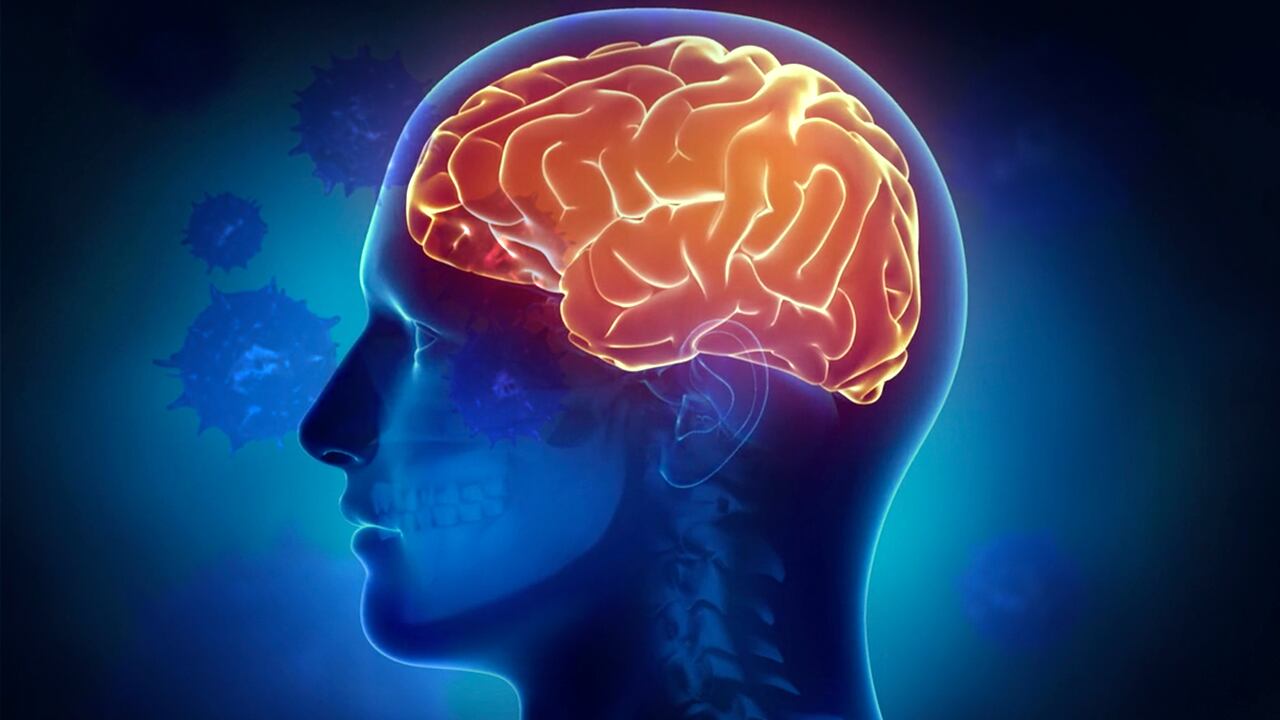 El alzhéimer es un trastorno neurodegenerativo que causa pérdida progresiva de memoria y demencia, y que reduce significativamente la calidad de vida.