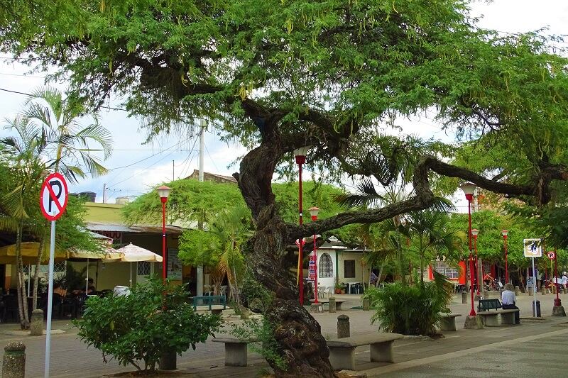 A solo 2 horas de Bogotá: este es el pueblo con el mejor clima de Colombia. No es Melgar ni Girardot