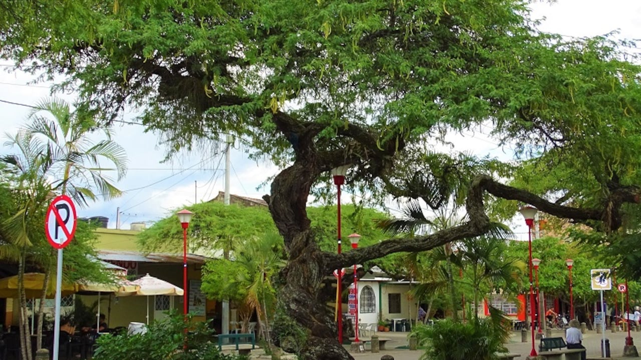 Este municipio es conocido por su clima cálido y agradable, perfecto para el turismo y el descanso