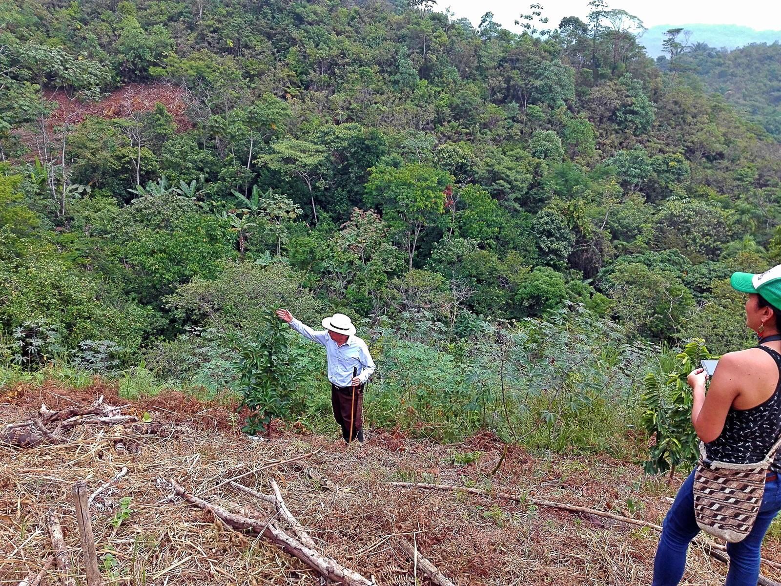 Los productores de arroz en Colombia vienen lanzando señales de humo.