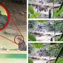 Las últimas imágenes de Otoniel en una lancha y montando en mula.