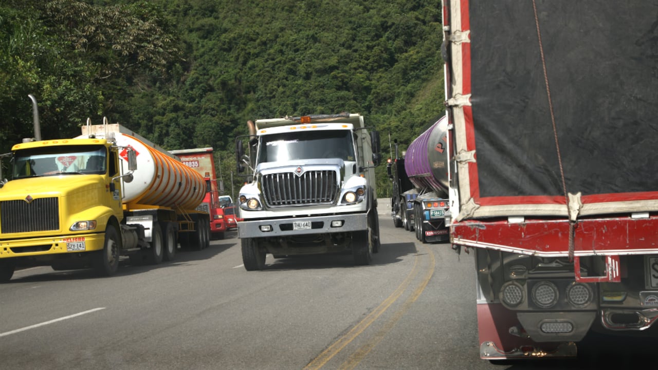 La Transnacional de Carga ha aprendido a moverse entre obstáculos y crisis gracias a su capacidad de adaptación.