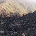 Imágenes compartidas por el alcalde Carlos Galán en la red X.