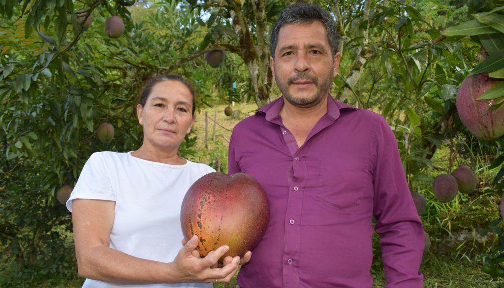 Mango colombiano récord Guinness