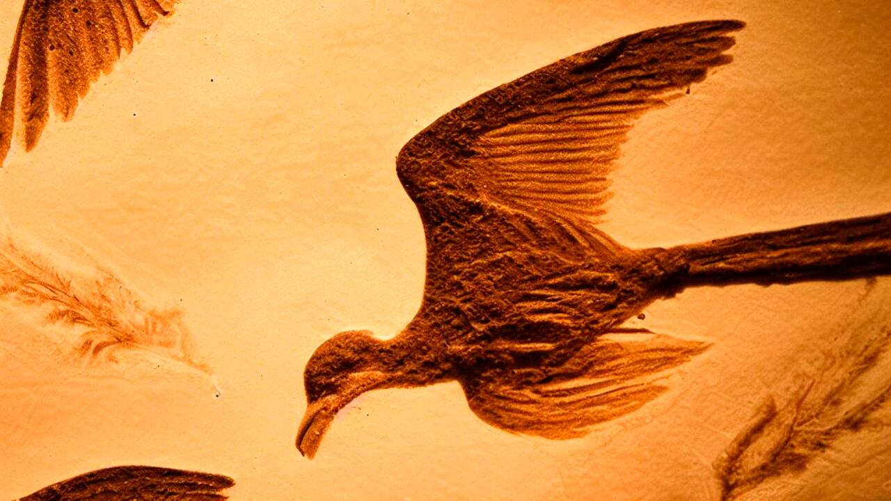 Ilustración de un ave antigua creada con inteligencia artificial.