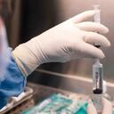 Los bacteriófagos o terapia de fagos es una alternativas a los antibióticos, pero en muchos países aún no está aprobado su aplicación. BBC - ROMAIN LAFABREGUE/AFP/GETTY IMAGES