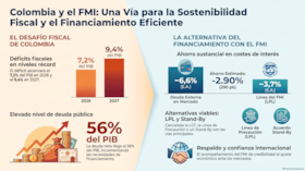 Infografía generada con IA a partir de documento de Anif