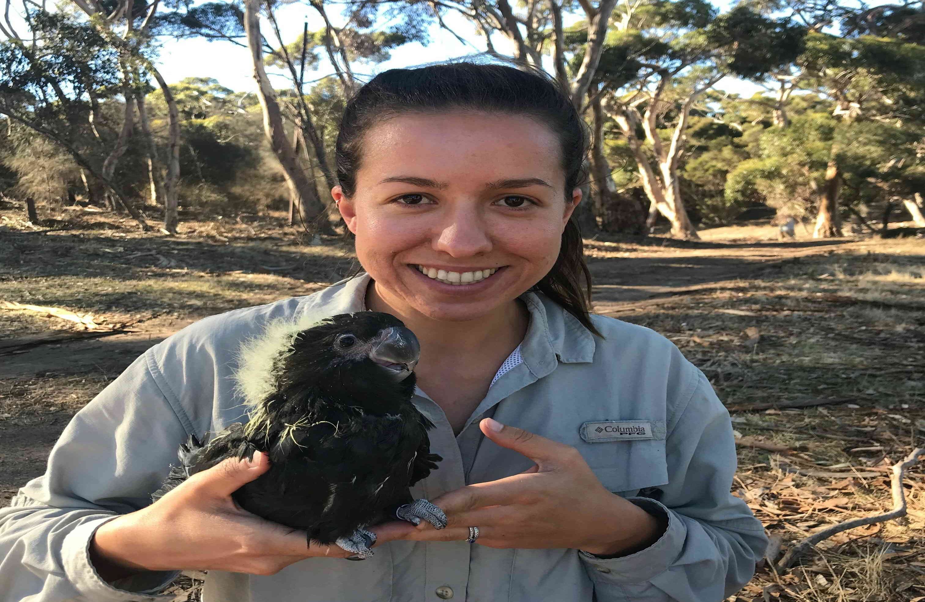 Daniella Teixeira, quien trabaja en un doctorado sobre las aves en la Universidad de Queensland, sostiene a una pequeña y brillante cacatúa negra en la Isla Canguro. Foto sin fecha, por Mike Barth vía AP. Debido a las devastadoras llamas, muchas especies nativas se han visto amenazadas y podrían desaparecer de la isla. 