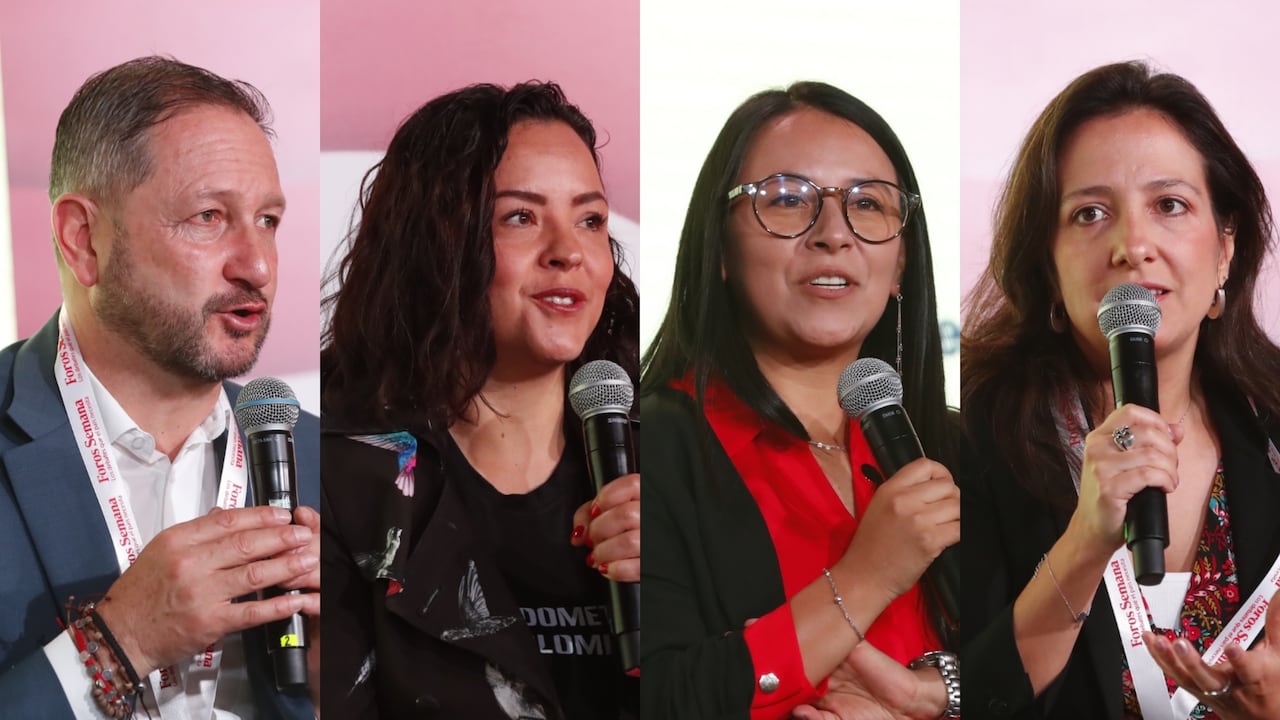 Pedro José Suárez Vacca, congresista del Pacto Histórico; Luz Marina Araque, directora de Asocoen; Diana Patricia Pinilla, analista pedagógica de Profamilia y Andrea Tague, oficial de género en Unicef Colombia.
