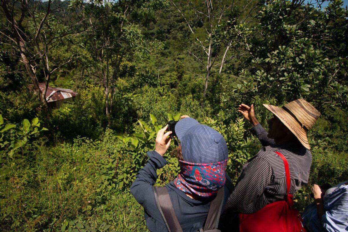 Seis ciudades participarán en el City Nature Challenge