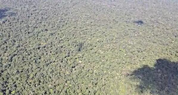 En esta tupida zona selvática fueron los últimos rastros de la avioneta desaparecida en el Guaviare, en el sitio fueron insertados comandos especiales de las Fuerzas Militares y del Ejército.