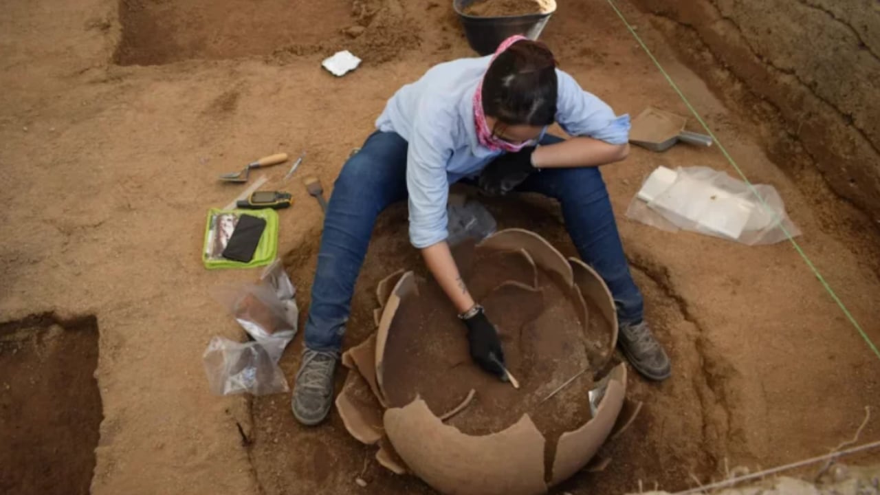 Labores arqueológicas en el Caribe colombiano.
