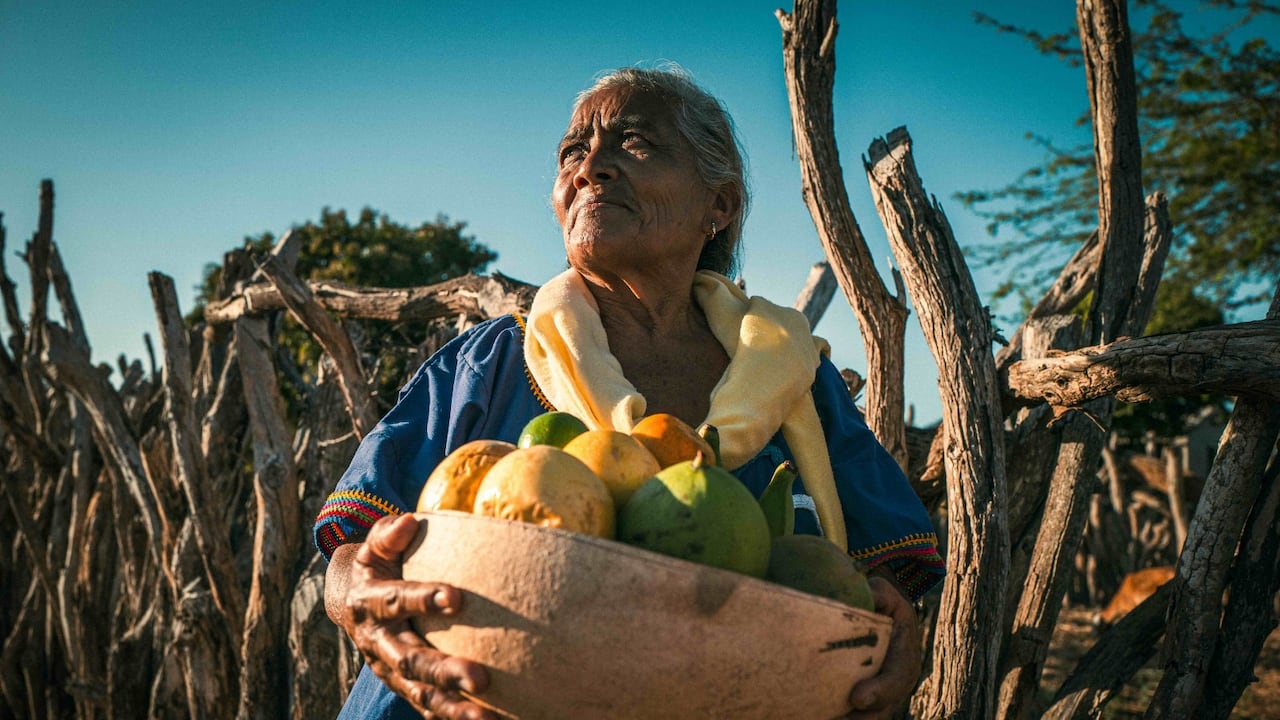 Tan solo el 27,9 % de las mujeres rurales cuenta con capacidad de ahorro para atender emergencias.