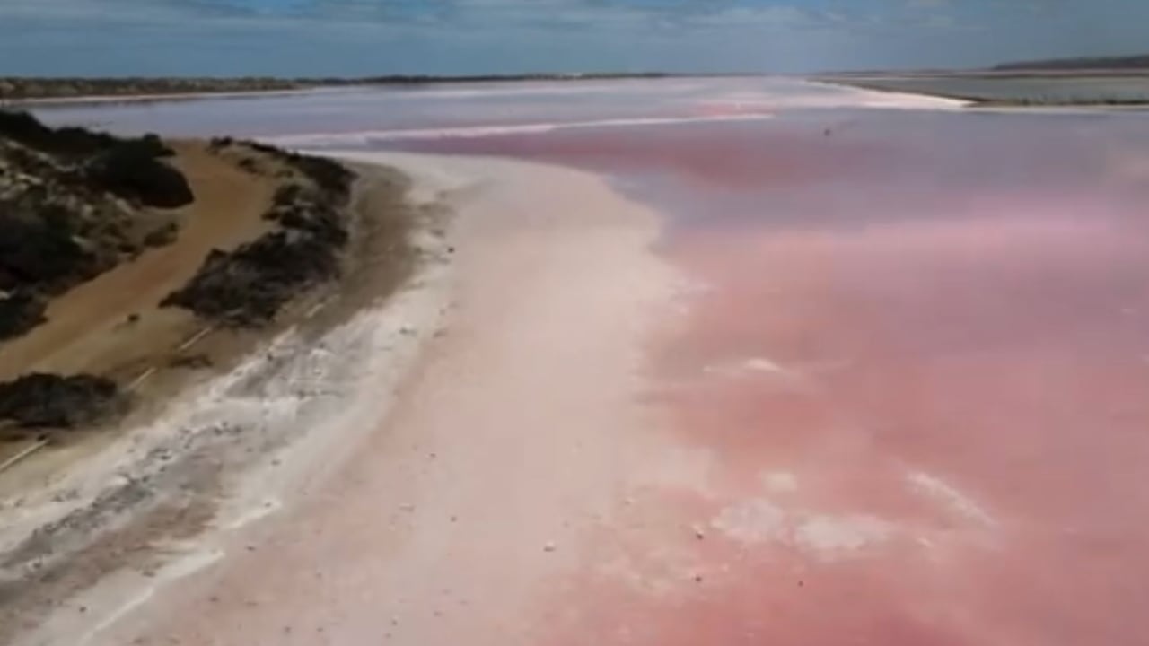 Los lagos rosados de Australia, un espectáculo de la naturaleza que vale la pena conocer