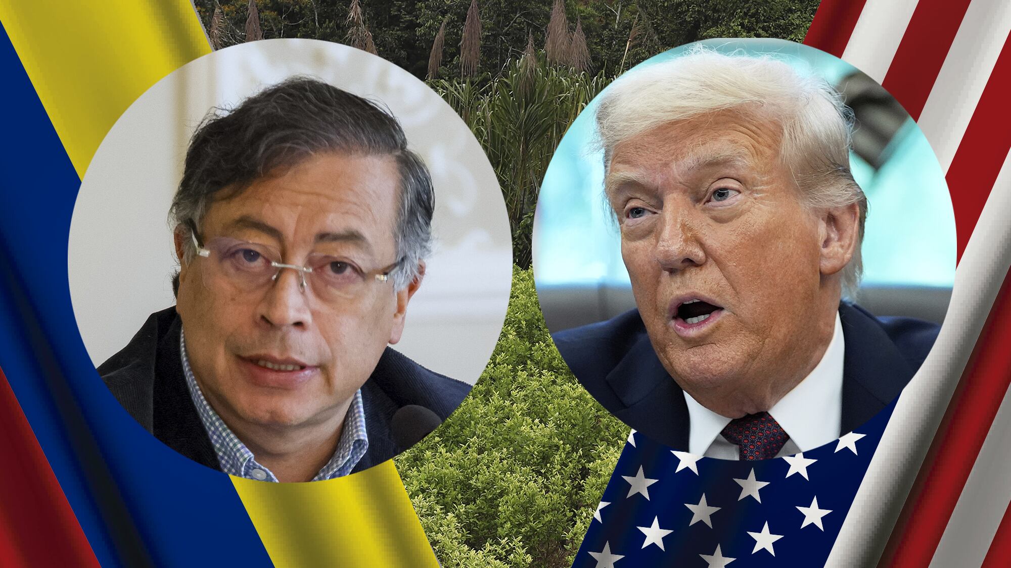 Donald Trump, Gustavo Petro cultivo coca