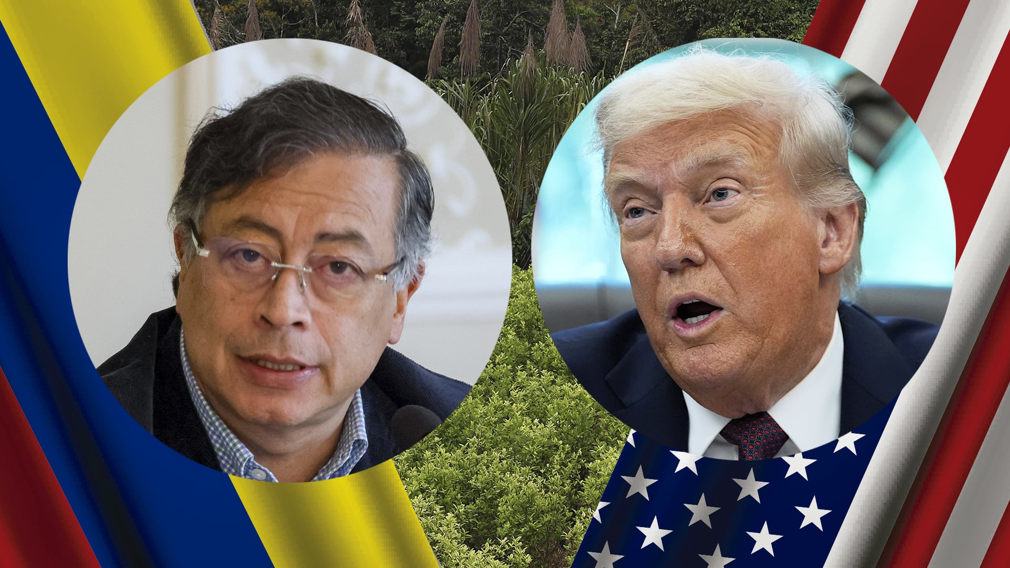 Donald Trump, Gustavo Petro cultivo coca