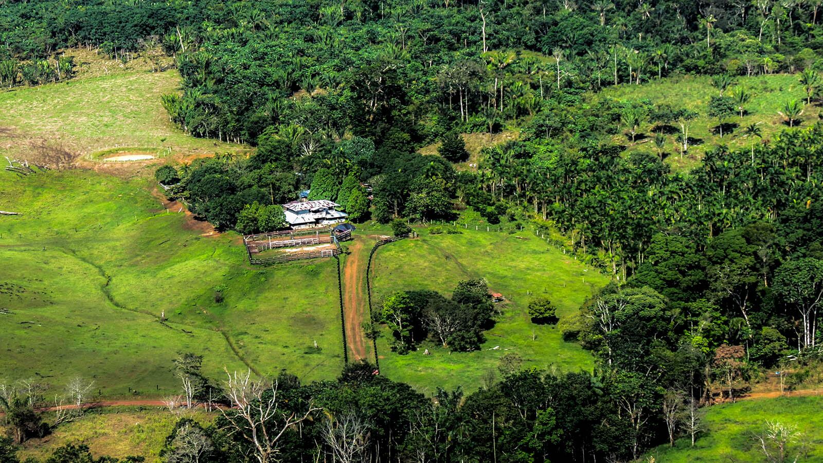 Ante la confrontación entre el Frente Primero Armando Ríos y el grupo resultante conocido como Frente Armando Ríos Marquetalia Bolivariano, es probable que aumenten las violaciones masivas de los derechos humanos (Imagen de referencia)