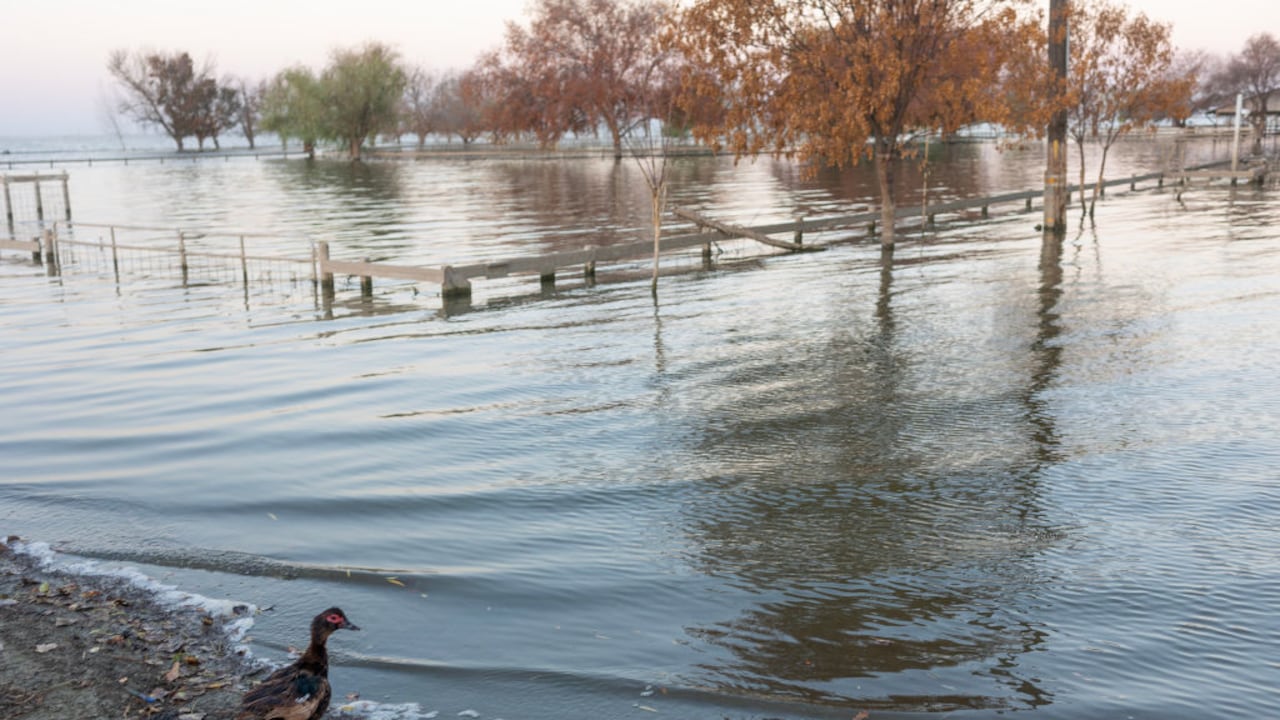 Científicos estudian un lago donde los peces reaparecen tras meses de ausencia.