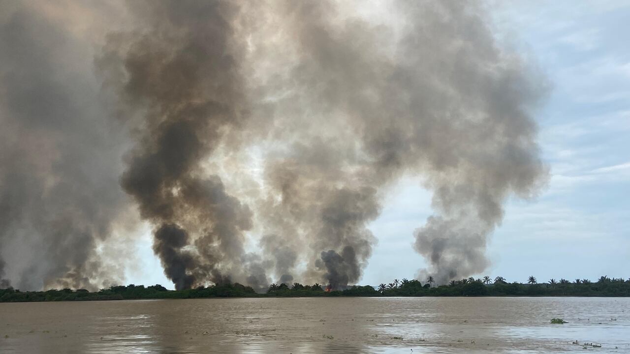 Quemas en parque Isla Salamanca que afecta calidad del aire en Barranquilla.
