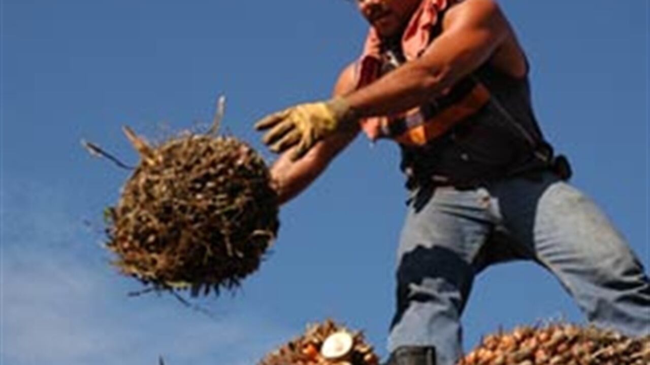 Según los pronósticos oficiales, Perú crecerá un 8% el 2007, después de lograr el año pasado una expansión de 7,6%, y según analistas económicos, el TLC podría impulsar el crecimiento hasta en un punto porcentual adicional.