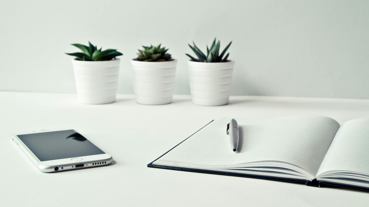 Hay más de 33 mil vacantes ofertadas en la página de Magneto clasificadas en diferentes sectores y ciudades del país.