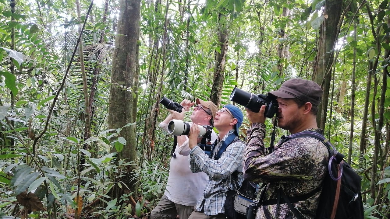 Julián Parra ha venido promoviendo desde su emprendimiento, el avistamiento de aves en el Chocó.