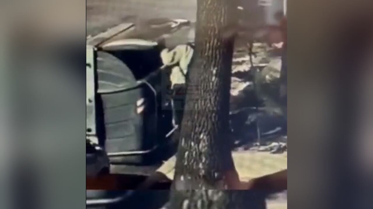 Las autoridades se llevaron a la mascota para que fuera evaluada por un especialista veterinario.