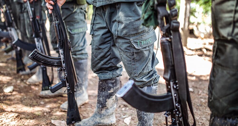 “Nuestro objetivo no es que los animales se queden en cautiverio, sino que puedan retornar a su hábitat natural", dice Camacho. 