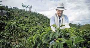 Artículo: Seguridad Alimentaria: ¿cómo garantizar el abastecimiento de alimentos en tiempos de crisis?