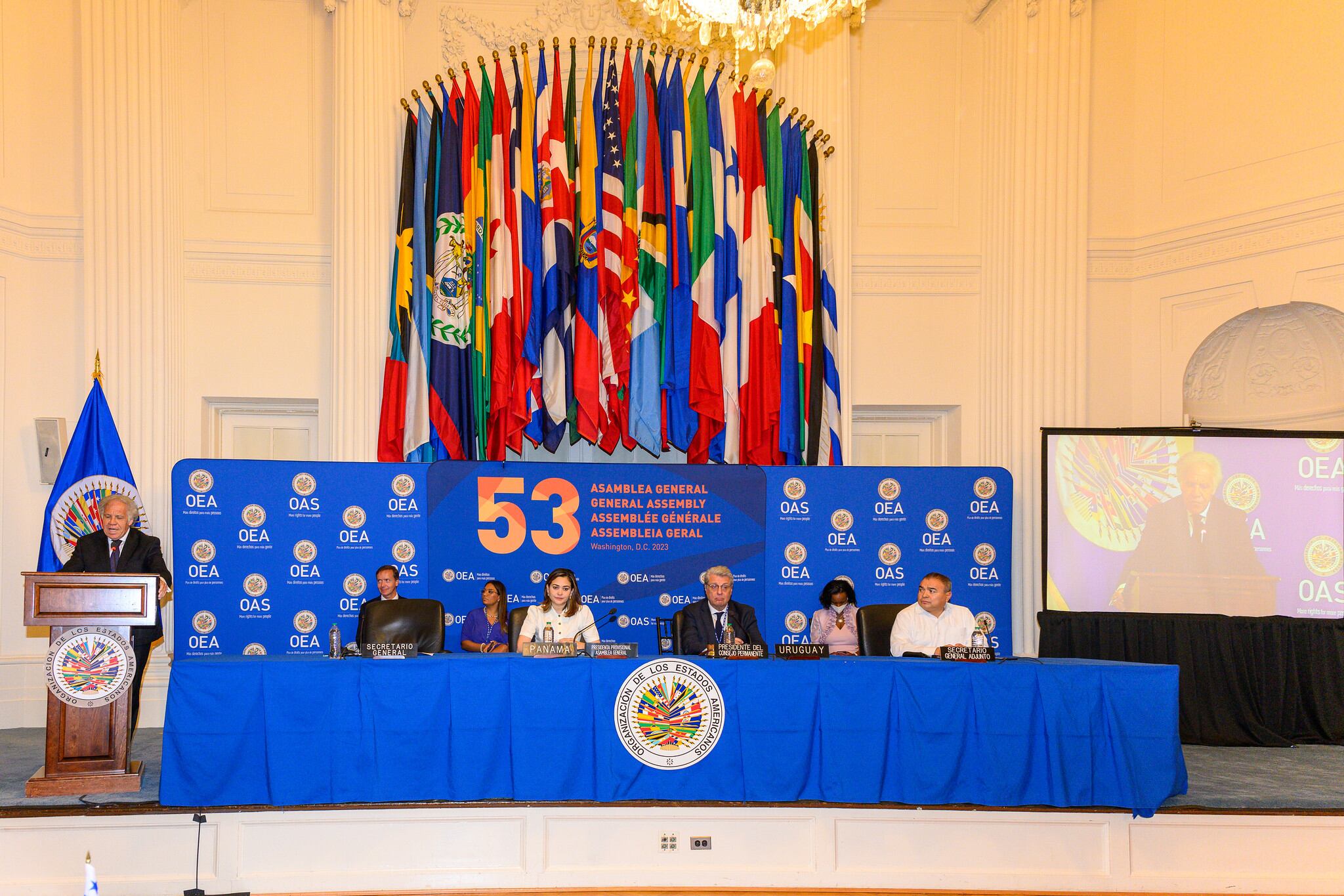 Las críticas del embajador van direccionadas a la Secretaría General de la OEA