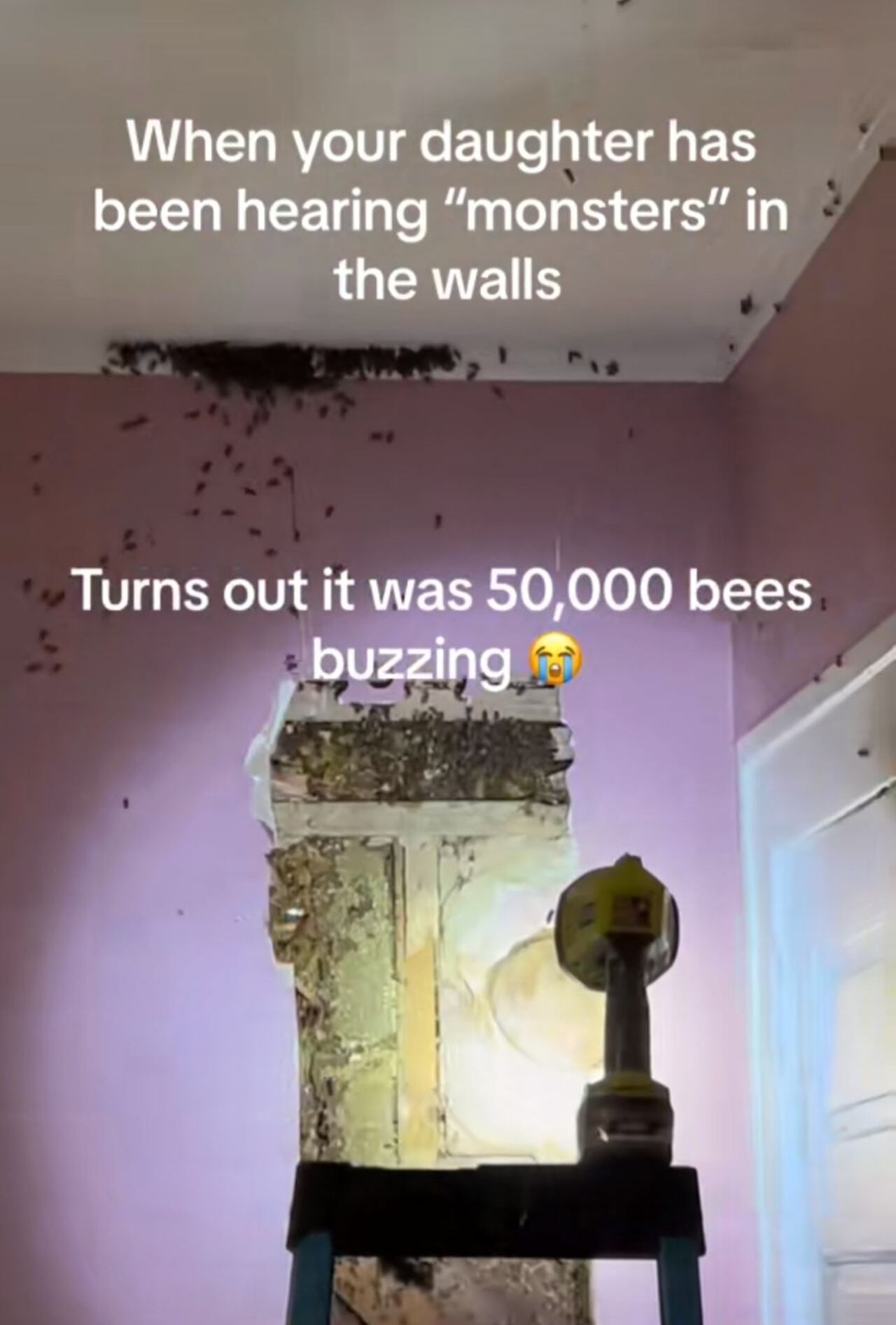 La habitación estaba invadida por abejas