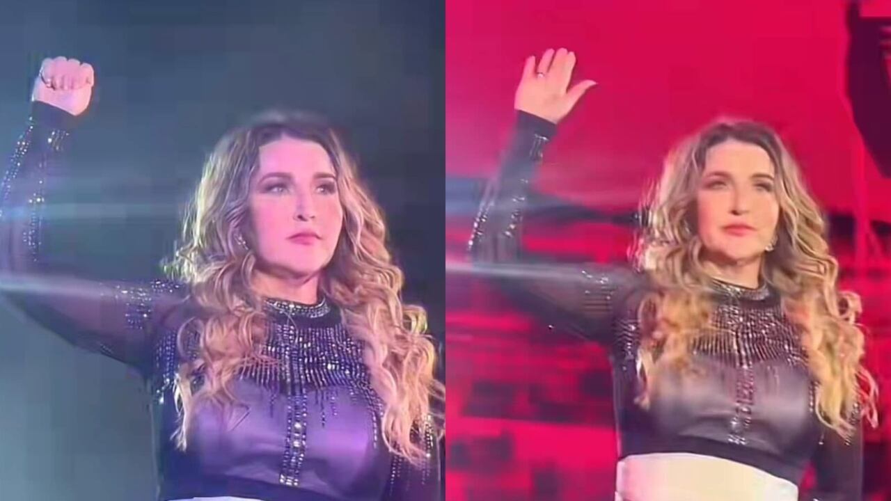 La cantante mexicana Alicia Villarreal habría pedido auxilio durante uno de sus conciertos.