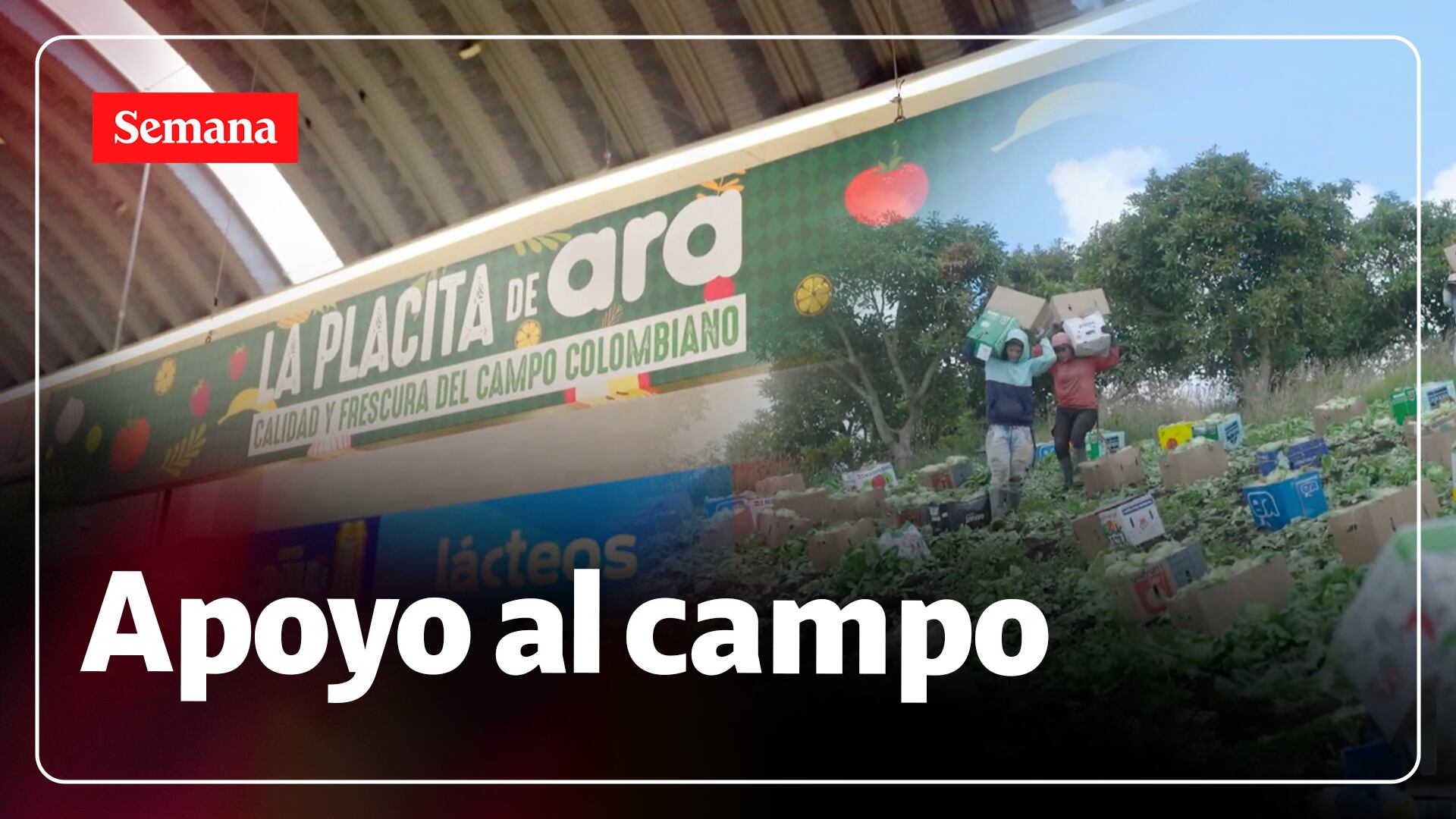 La Placita de Ara, el espacio que conecta al agro colombiano con los hogares del país. Más de 100 productores y miles de empleos.