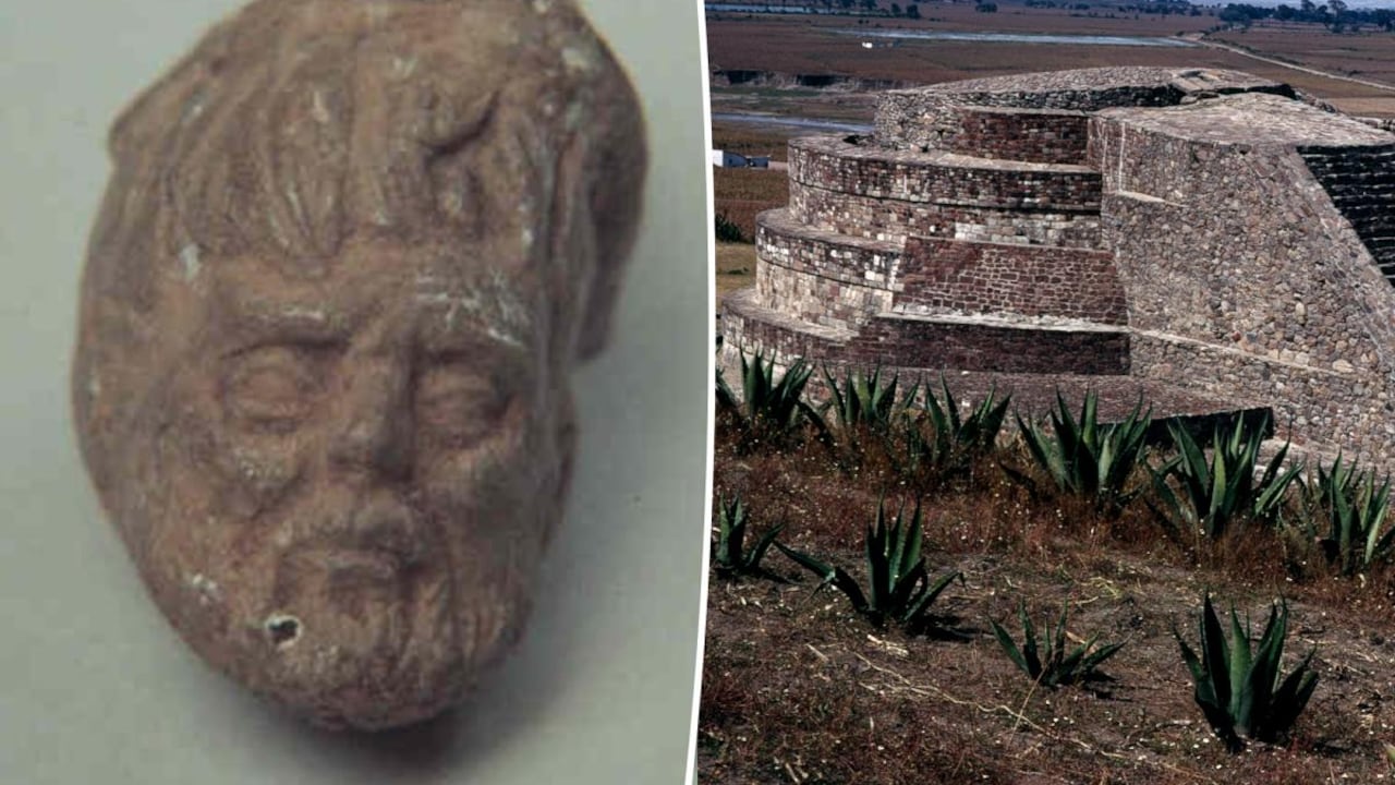 Cabeza de Tecaxic-Calixtlahuaca, hallada en México