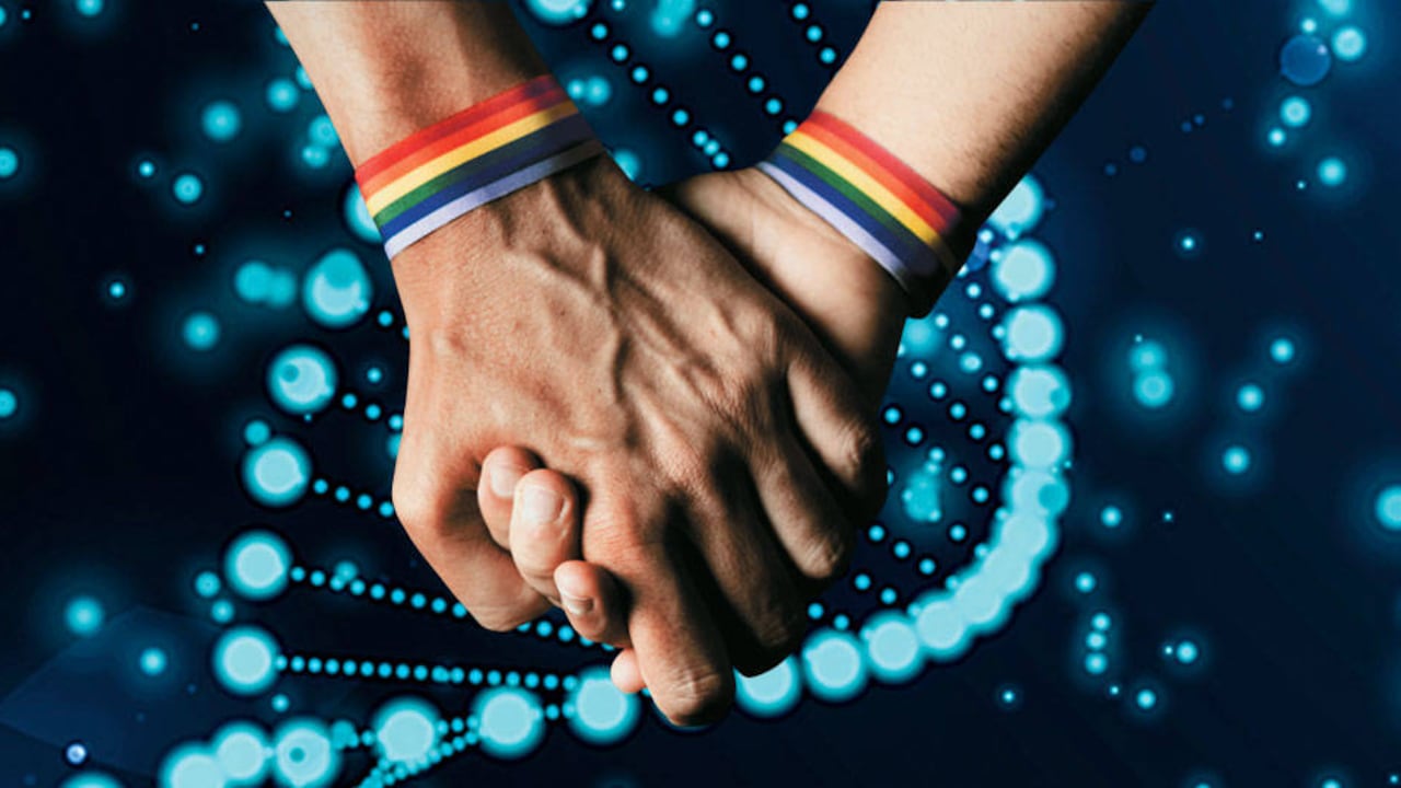 Según un estudio, no existe un gen gay, sino que hay múltiples factores que influyen en tener o no esa orientación.