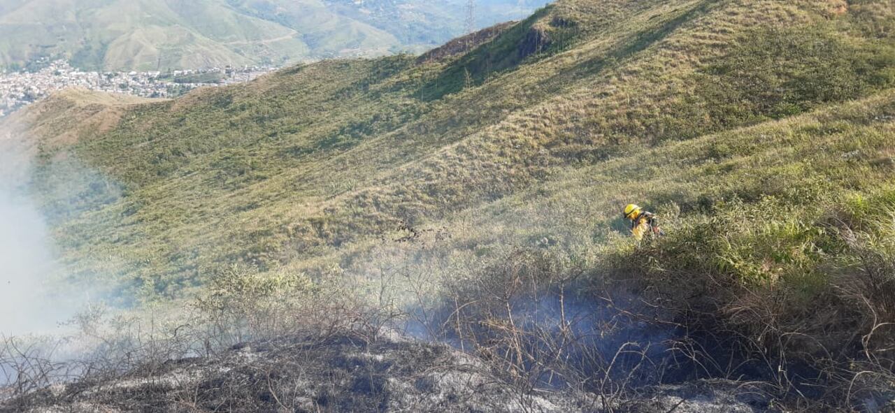 Devastador incendio en la vereda Los Limones, zona rural de Cali
