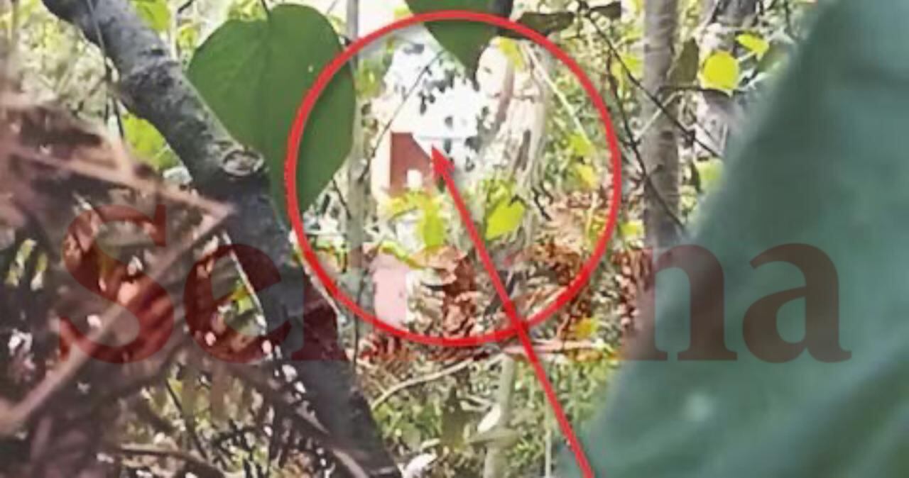 Autoridades confirmaron que fue un francotirador el que asesinó al esmeraldero, Juan Sebastián Aguilar.