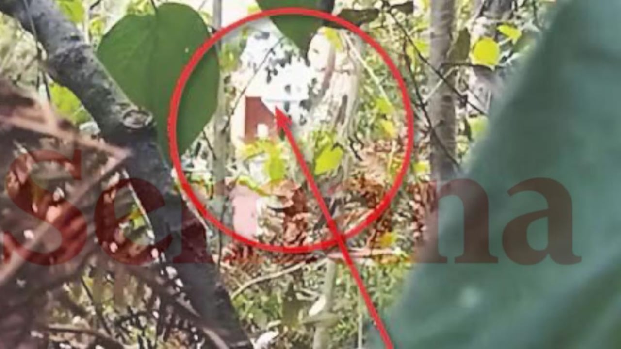 Autoridades confirmaron que fue un francotirador el que asesinó al esmeraldero, Juan Sebastián Aguilar.