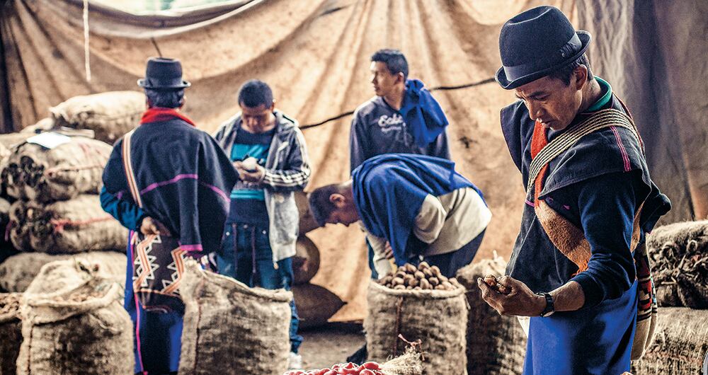 Los Misak comercializan ulluco, papa y otros productos de tierra fría