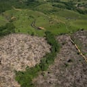 NO USAR, USO EXCLUSIVO MEJOR COLOMBIA, Especial Minambiente, Restauración