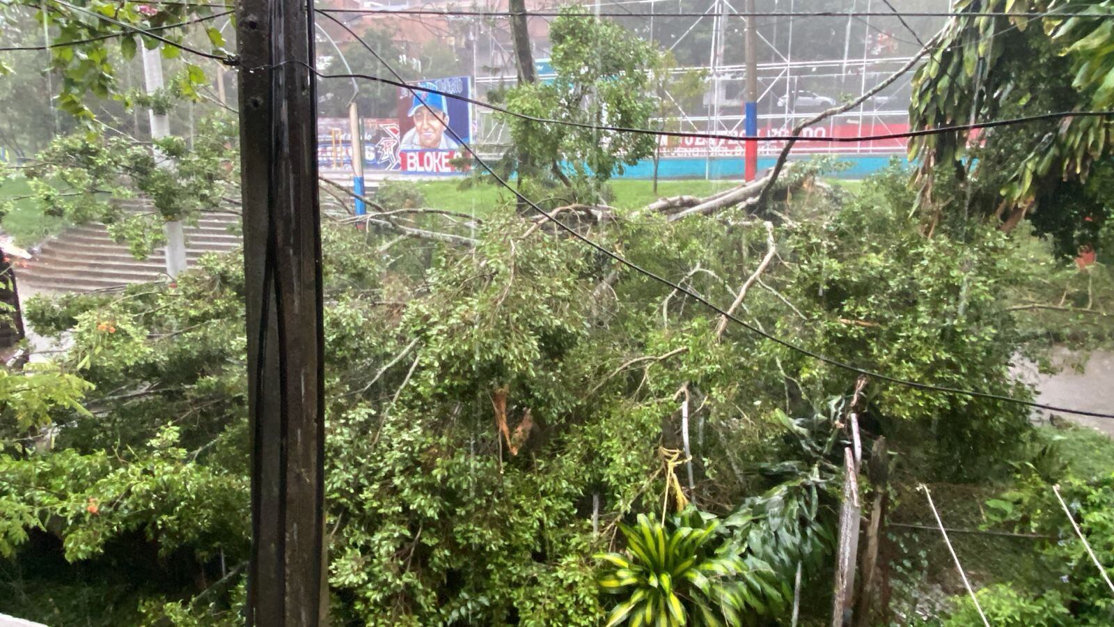 Alcaldía de Medellín reportó caída de árboles e inundaciones por lluvias este sábado.