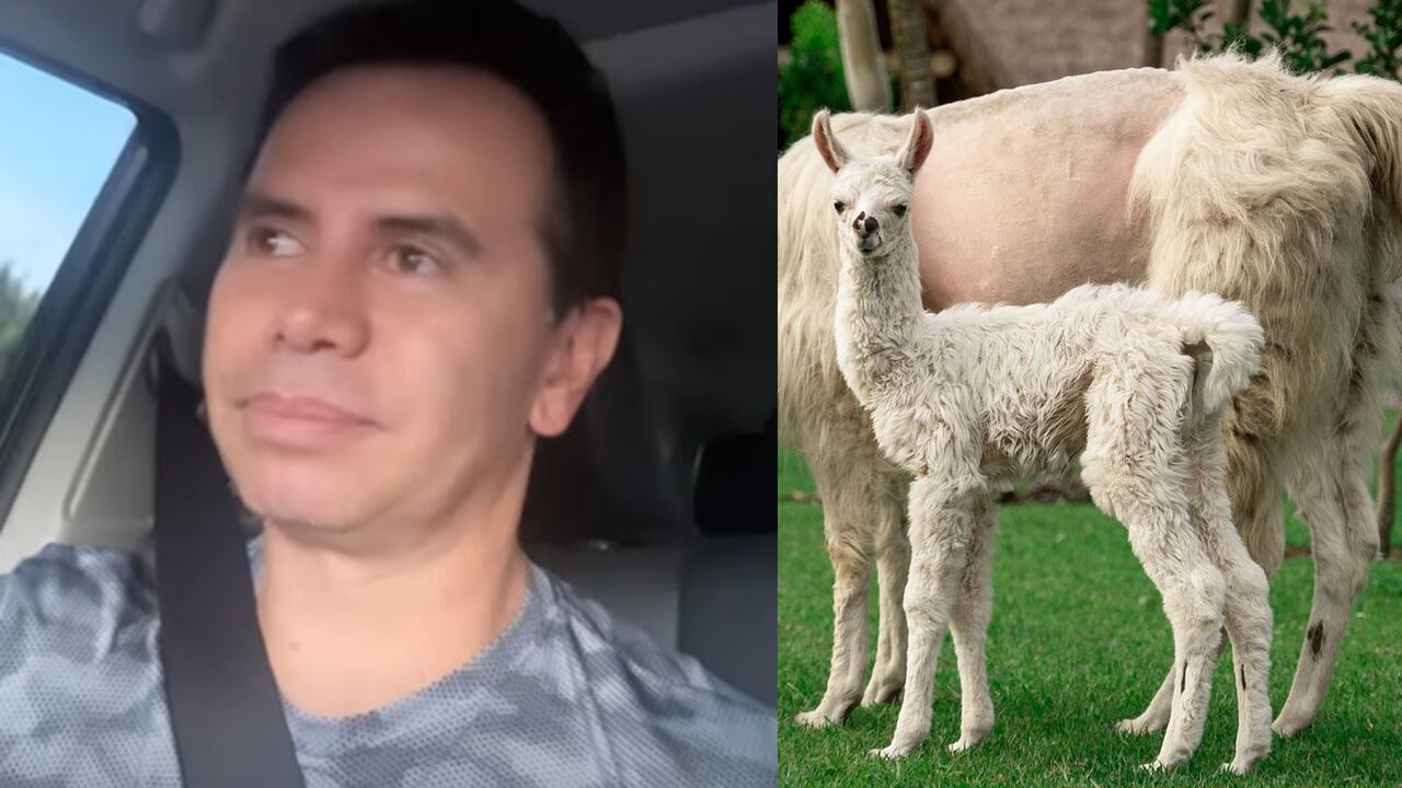 El cantante lamenta la muerte de su mascota. Fotos: Instagram @jhonnyrivera.