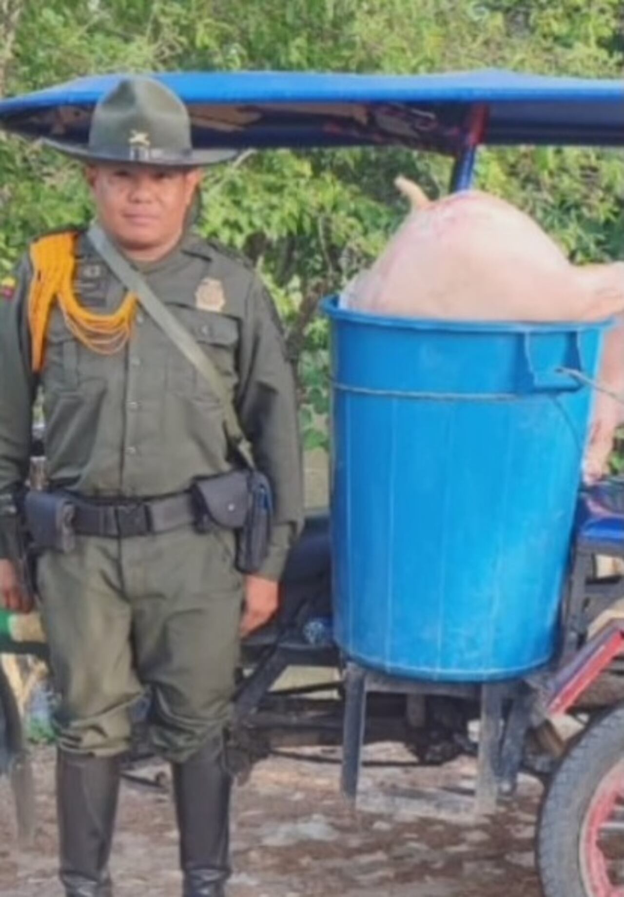 El grupo de Carabineros son los encargados de la vigilancia en la zona rural de los departamentos