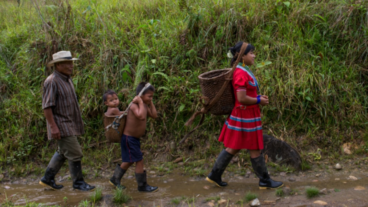 En lo que va del 2014, ha habido más de 4.000 desplazados y 25 amenazas a defensores de derechos humanos en Chocó.