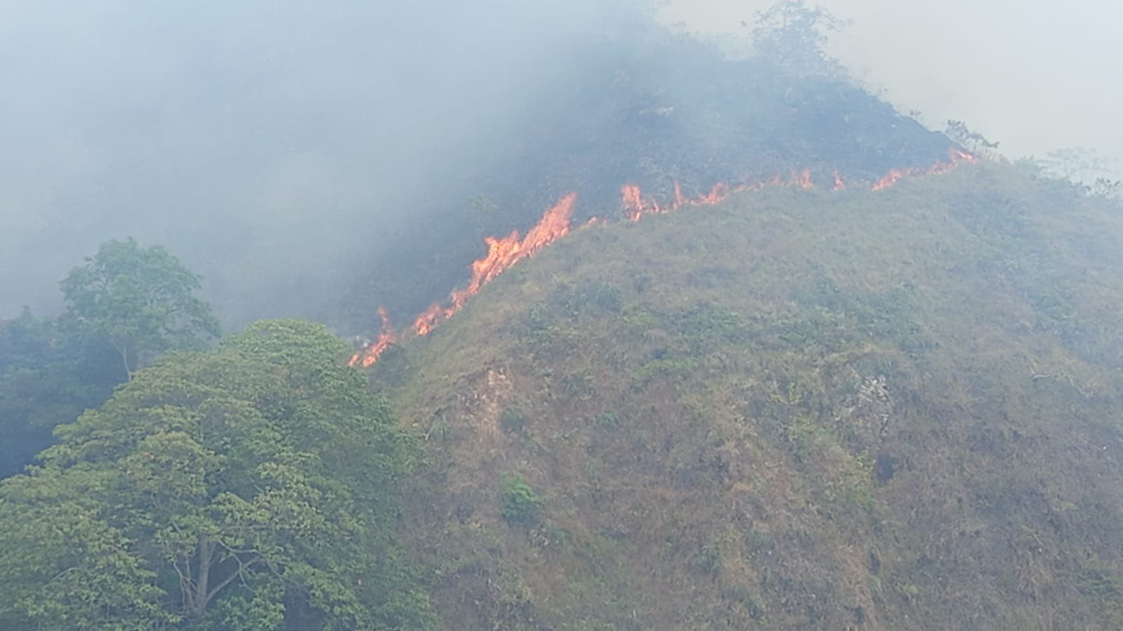 Incendios forestales