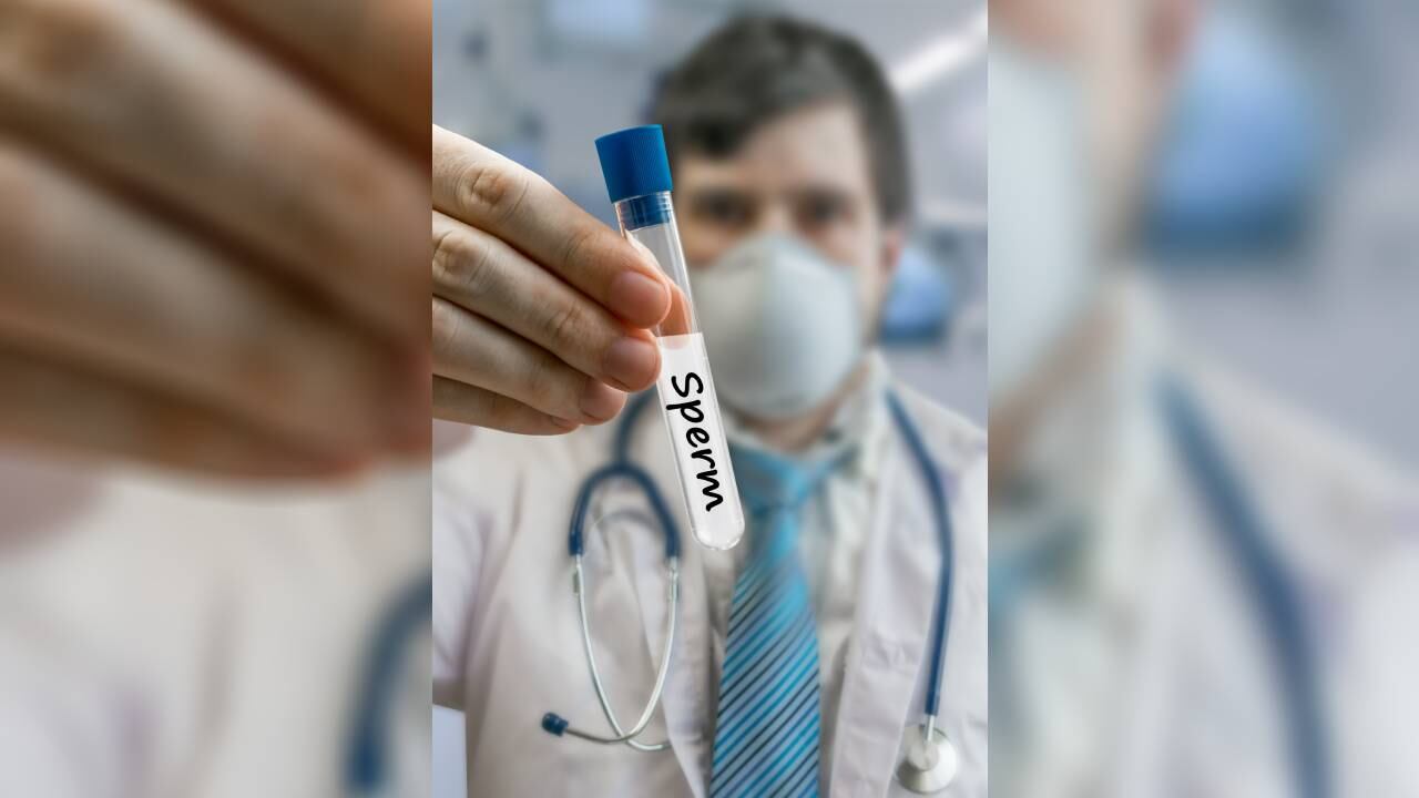 Se habrían roto cláusulas en los procesos de donación (imagen de referencia).