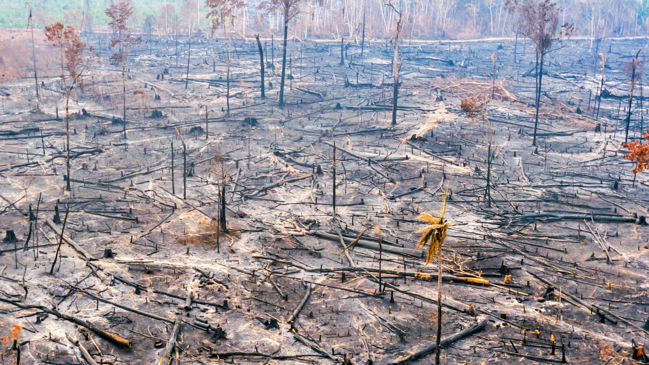 Hablar de crisis climática implica comunicar asuntos científicos complejos a públicos diversos y encontrar un equilibrio entre precisión y claridad.