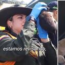 Los perritos rescatados en el cerro de El Cable se encuentran en muy buenas condiciones
Foto X